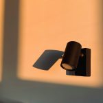 Un furetto da muro al tramonto