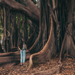 Radici nel gruppo e futuro condiviso