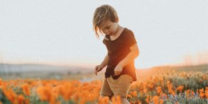 bambina in un campo di papaveri