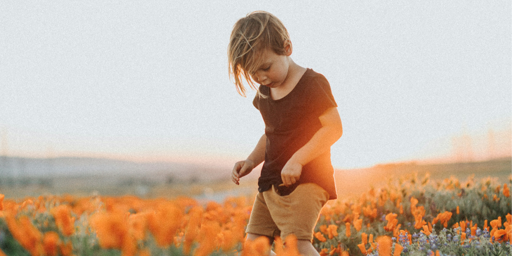 bambina in un campo di papaveri