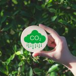 Mano che tiene una targhetta in legno con inscrizione verde CO2