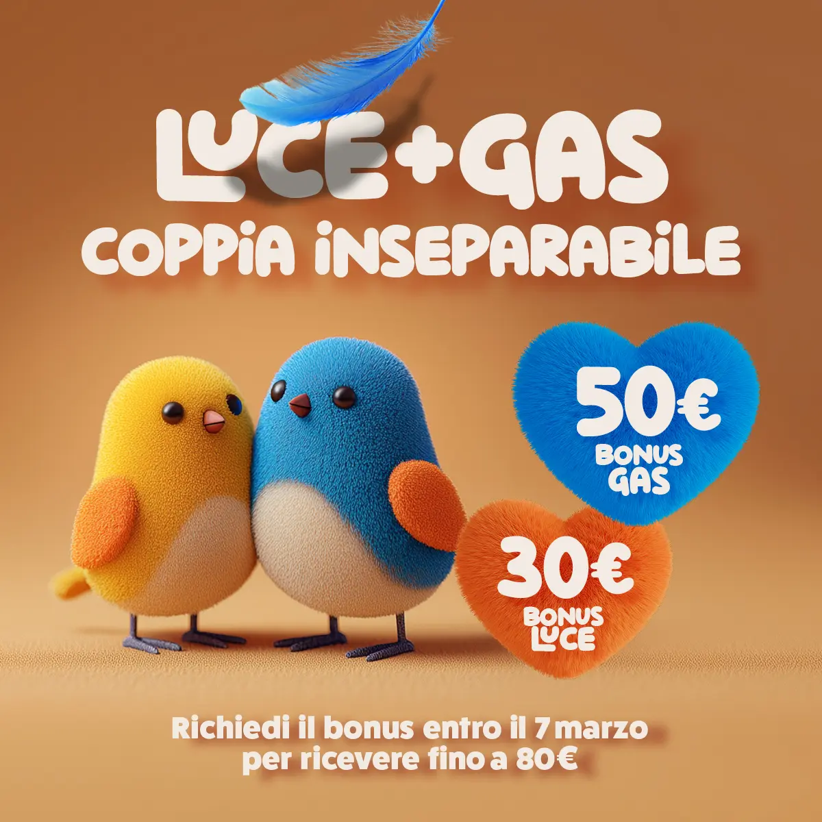 san valentino - coppia inseparabile