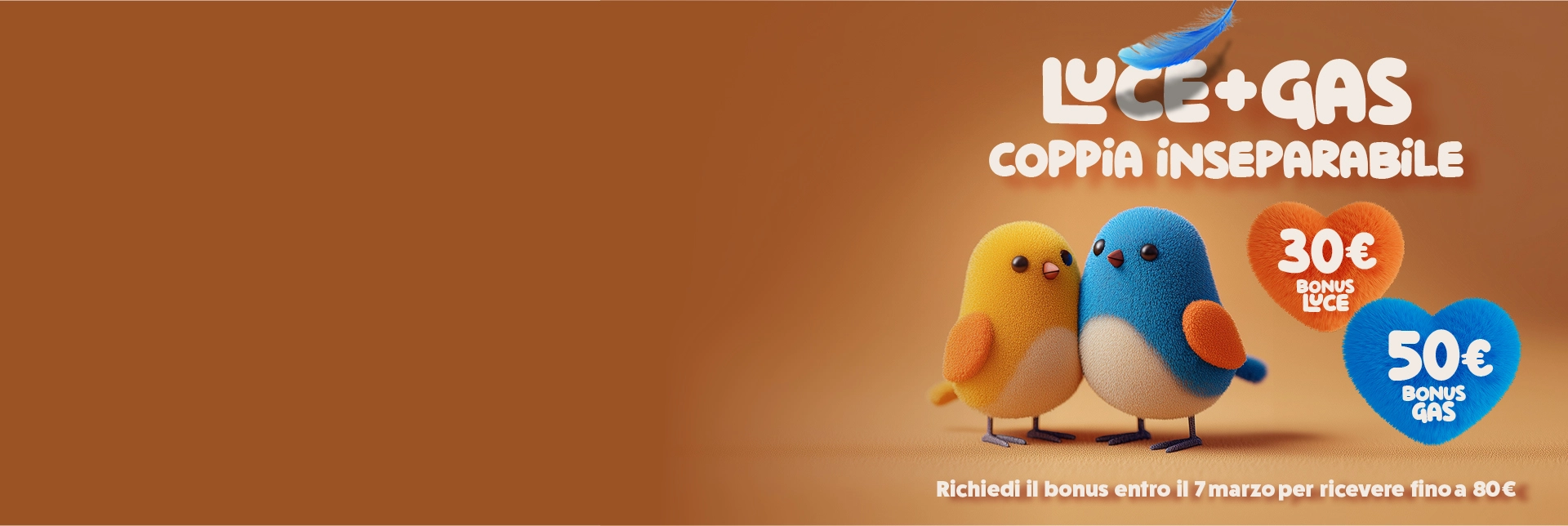 Promozione San Valentino - Coppia di uccellini inseparabili