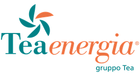 Logo colorato Tea Energia